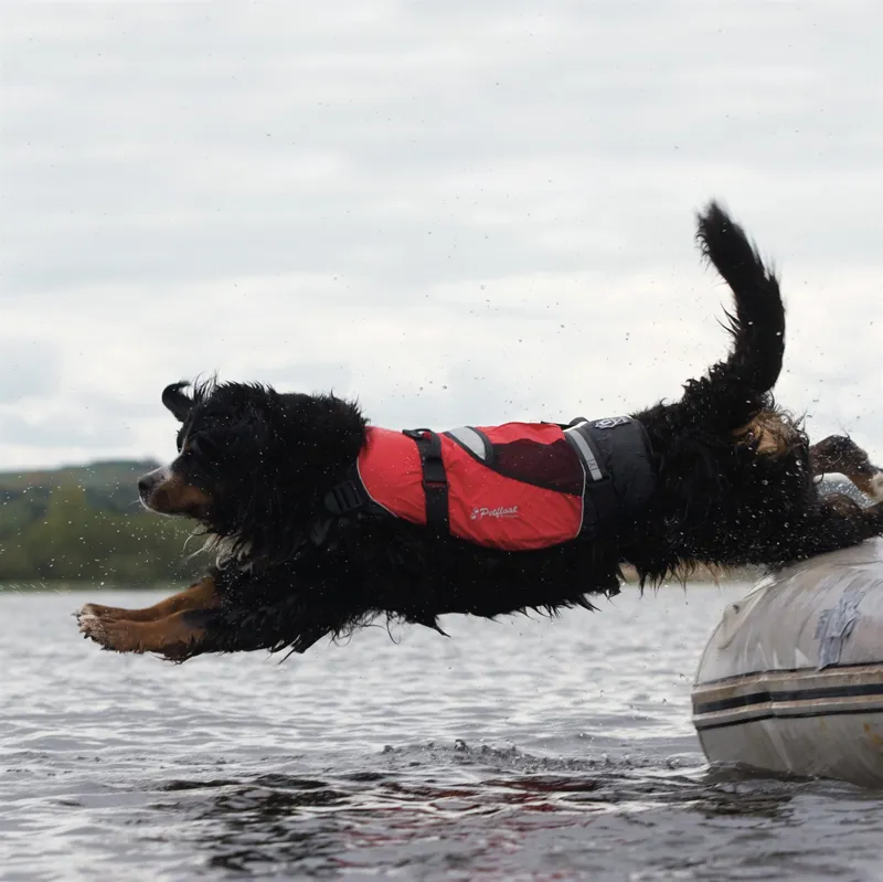 Crewsaver Pet Float-1