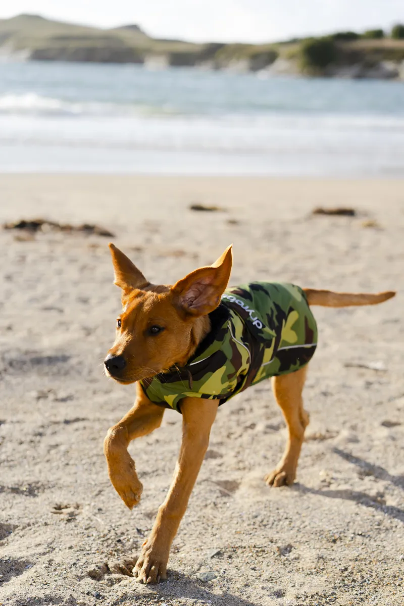 Dryrobe Dog Coat - Green Camo/Black-1