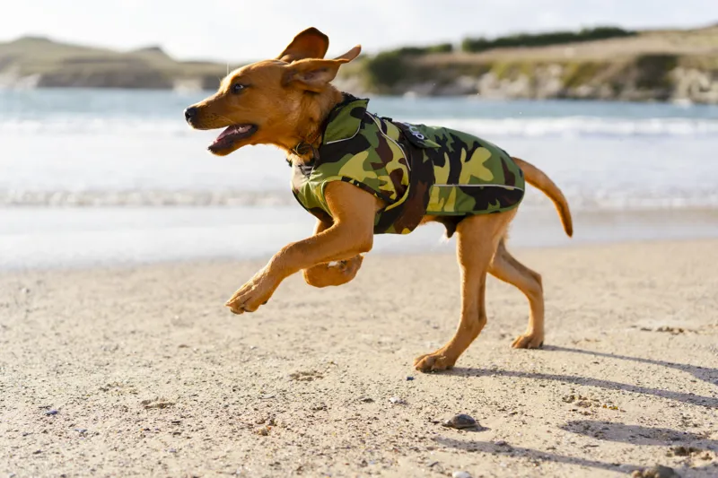 Dryrobe Dog Coat - Green Camo/Black-2