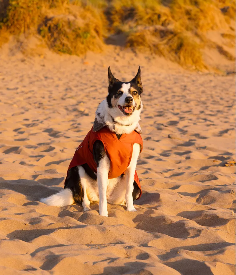 Dryrobe Dog Coat - Burnt Orange-2