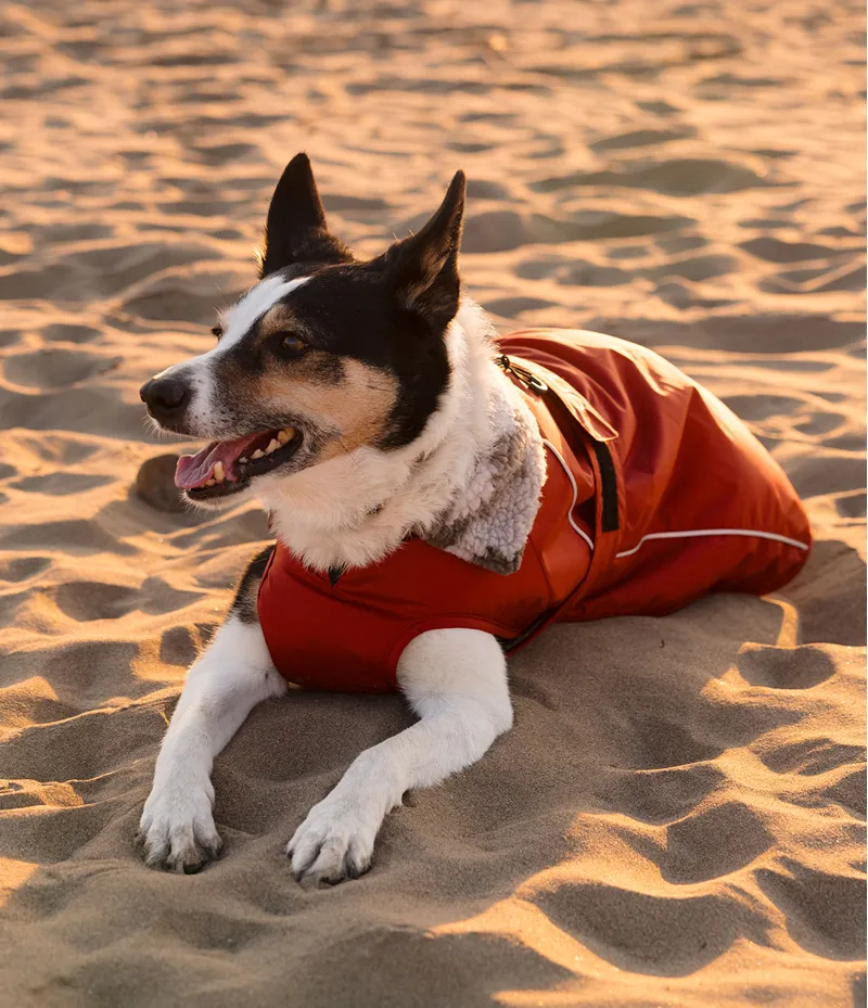 Dryrobe Dog Coat - Burnt Orange-1