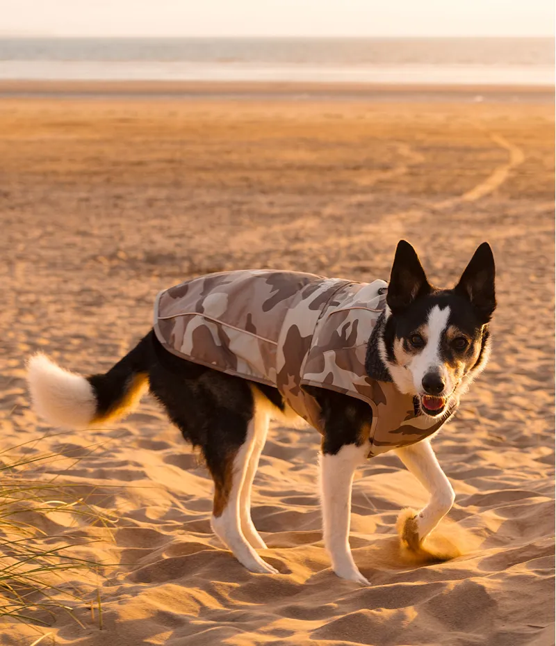 Dryrobe Dog Coat - Sand Camo-4