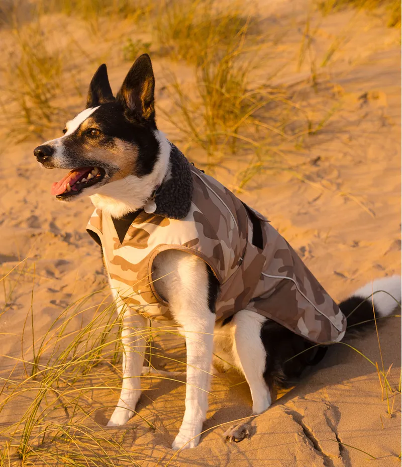 Dryrobe Dog Coat - Sand Camo-5