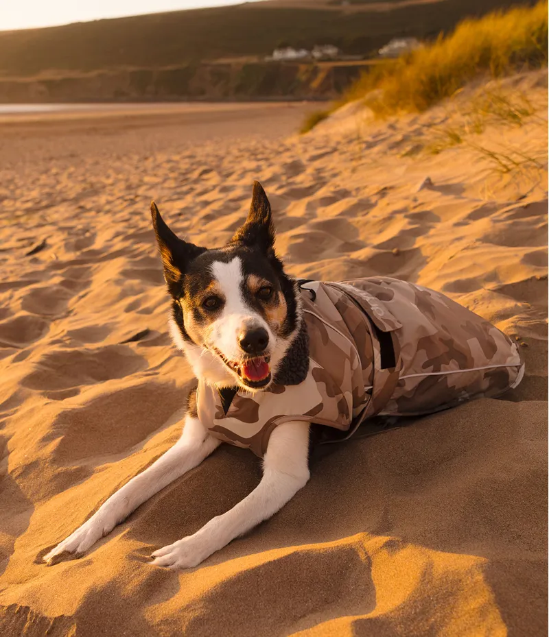 Dryrobe Dog Coat - Sand Camo-8