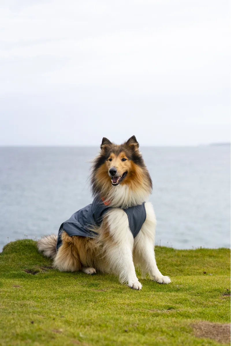 Dryrobe Dog Coat - Dark Grey/Orange-1
