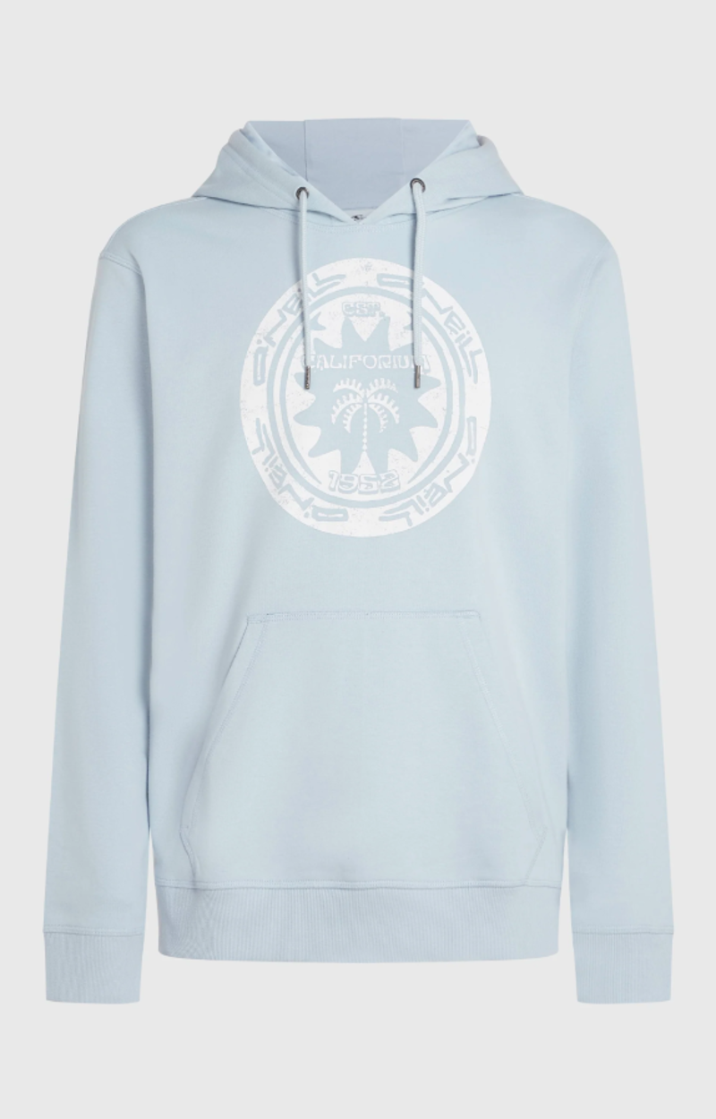 O'Neill Men's Must-Have Graphic Hoodie - Spindle