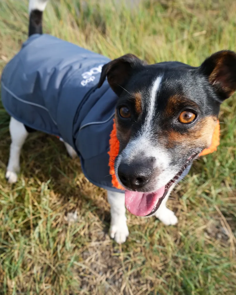 Dryrobe Dog Coat - Dark Grey/Orange-3