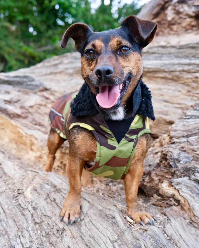 Dryrobe Dog Coat - Green Camo/Black-3