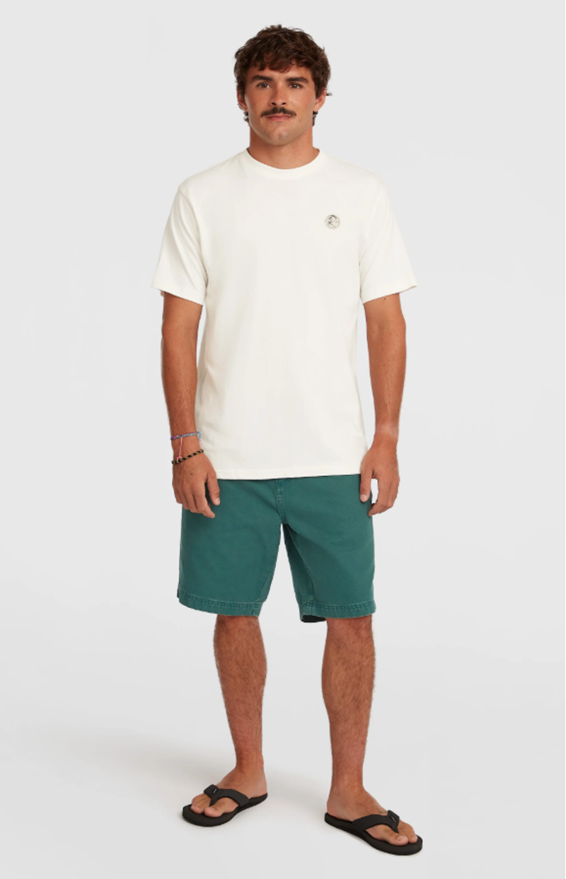 O'Neill Men's O'Riginals Shorts - Botanical Heat-3