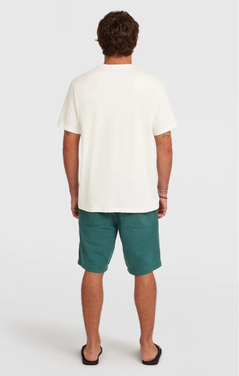 O'Neill Men's O'Riginals Shorts - Botanical Heat-5