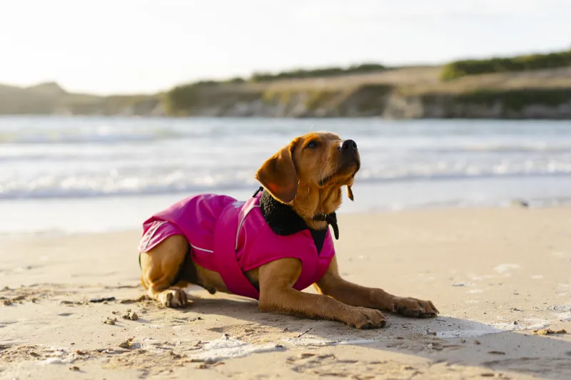 Dryrobe Dog Coat - Pink/Black-2