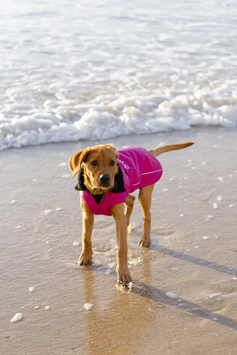 Dryrobe Dog Coat - Pink/Black-1