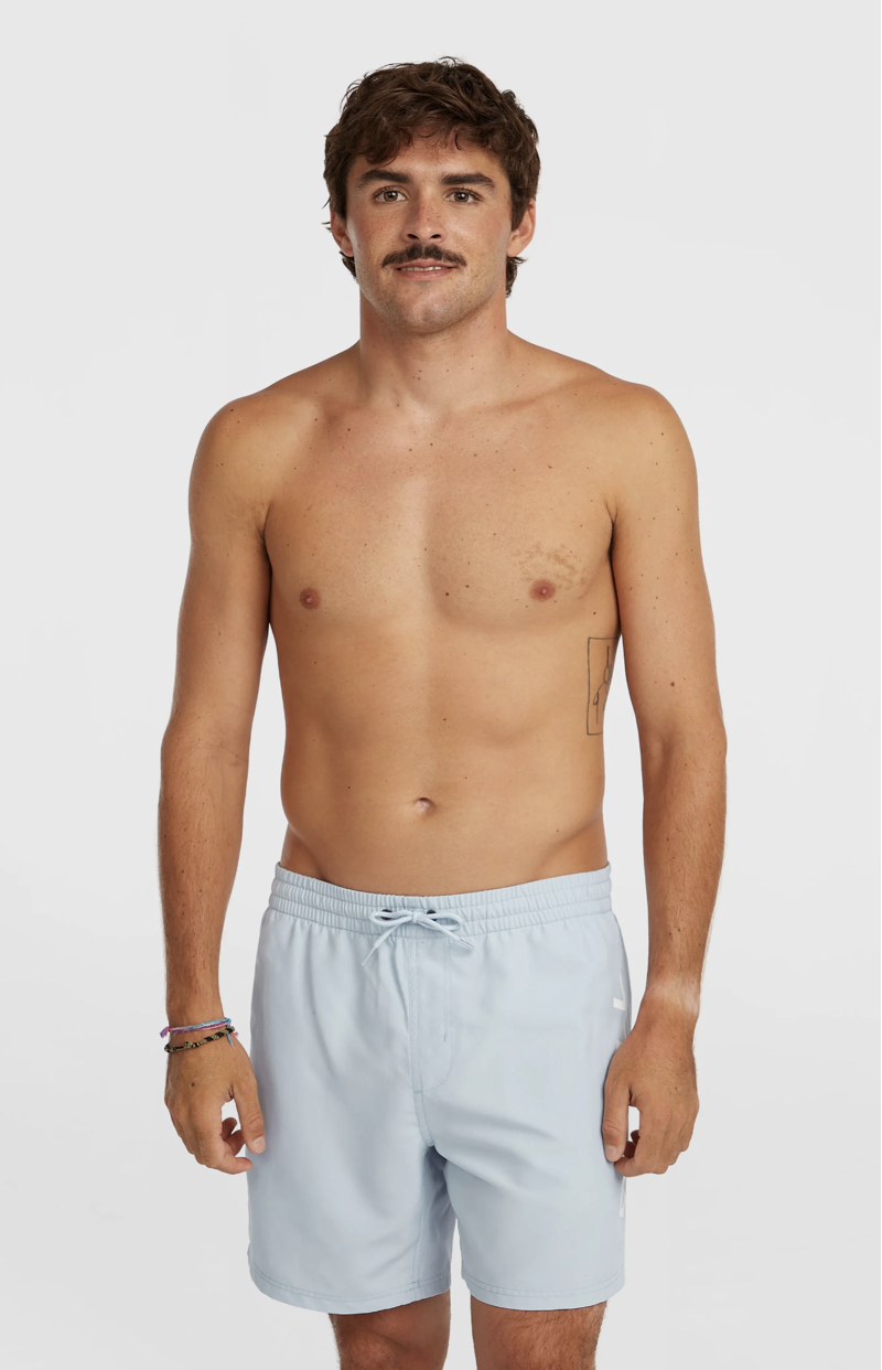 O'Neill Men's Logo 16 Swimshorts - Spindle-4