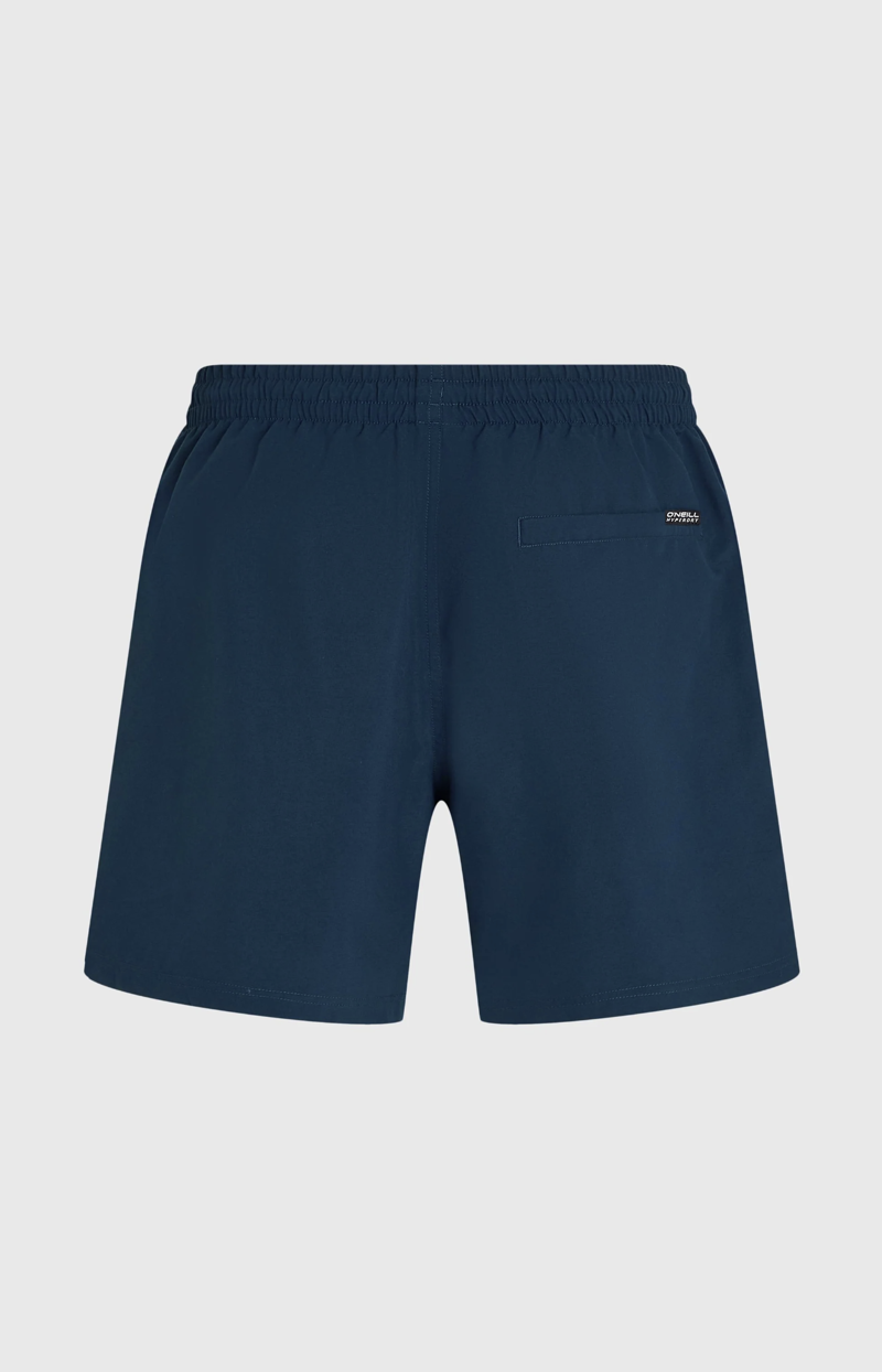 O'Neill Men's Logo 16 Swimshorts - English Evening-1