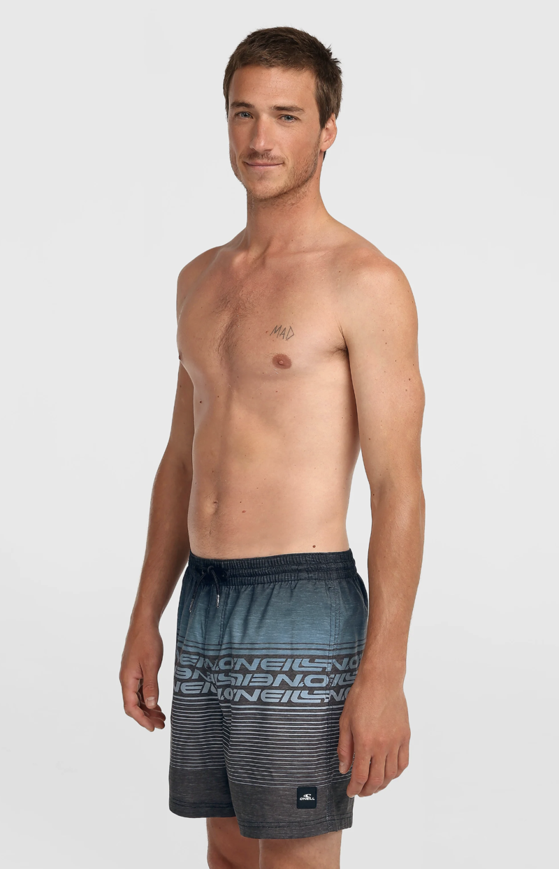 O'Neill Men's Logo Stripe 16 Swimshorts - Black Out Heritage Stripe-3