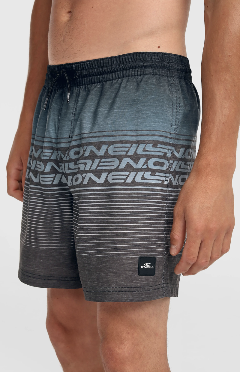 O'Neill Men's Logo Stripe 16 Swimshorts - Black Out Heritage Stripe-2