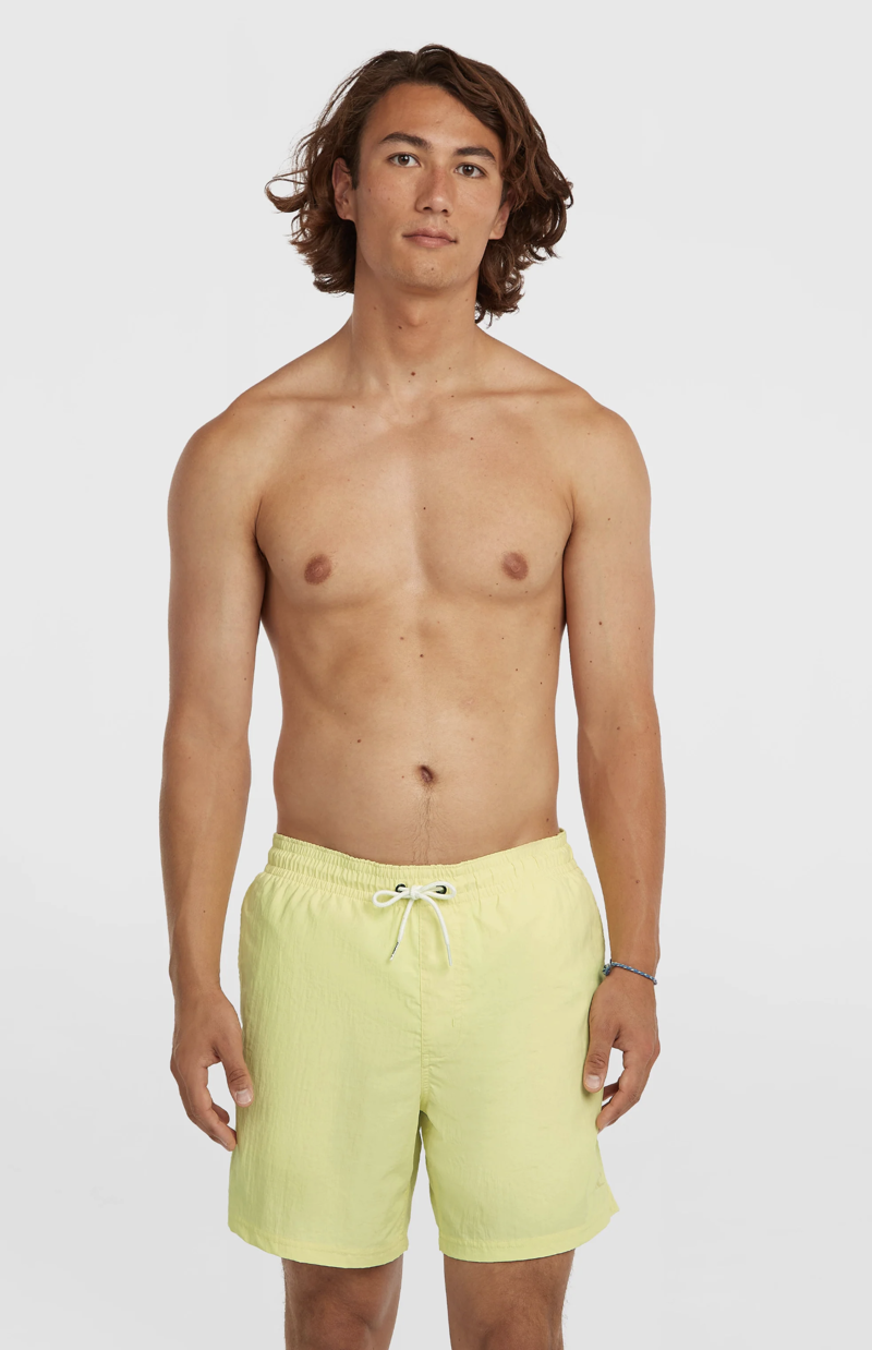 O'Neill Men's Vert 16 Swimshorts - Rainforest Dew-3