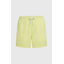 O'Neill Men's Vert 16 Swimshorts - Rainforest Dew