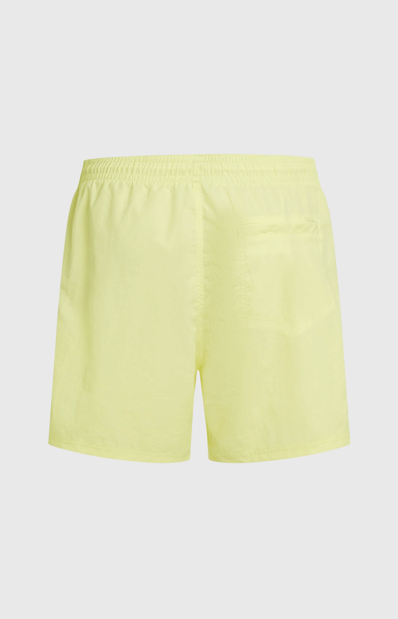O'Neill Men's Vert 16 Swimshorts - Rainforest Dew-1