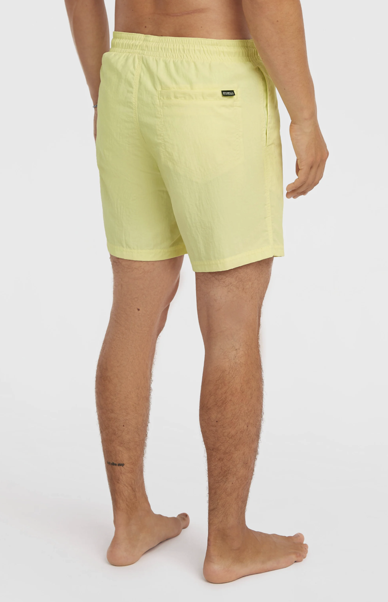 O'Neill Men's Vert 16 Swimshorts - Rainforest Dew-4