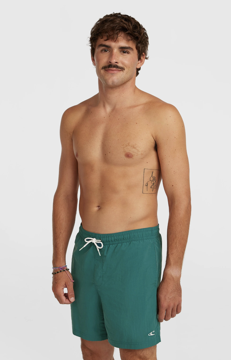 O'Neill Men's Vert 16 Swimshorts - Botanical Heat-3