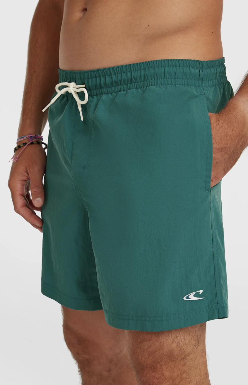O'Neill Men's Vert 16 Swimshorts - Botanical Heat-2