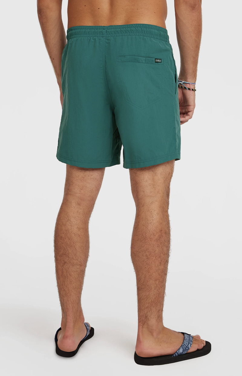 O'Neill Men's Vert 16 Swimshorts - Botanical Heat-4