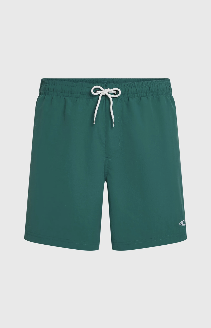 O'Neill Men's Vert 16 Swimshorts - Botanical Heat