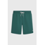 O'Neill Men's Vert 16 Swimshorts - Botanical Heat
