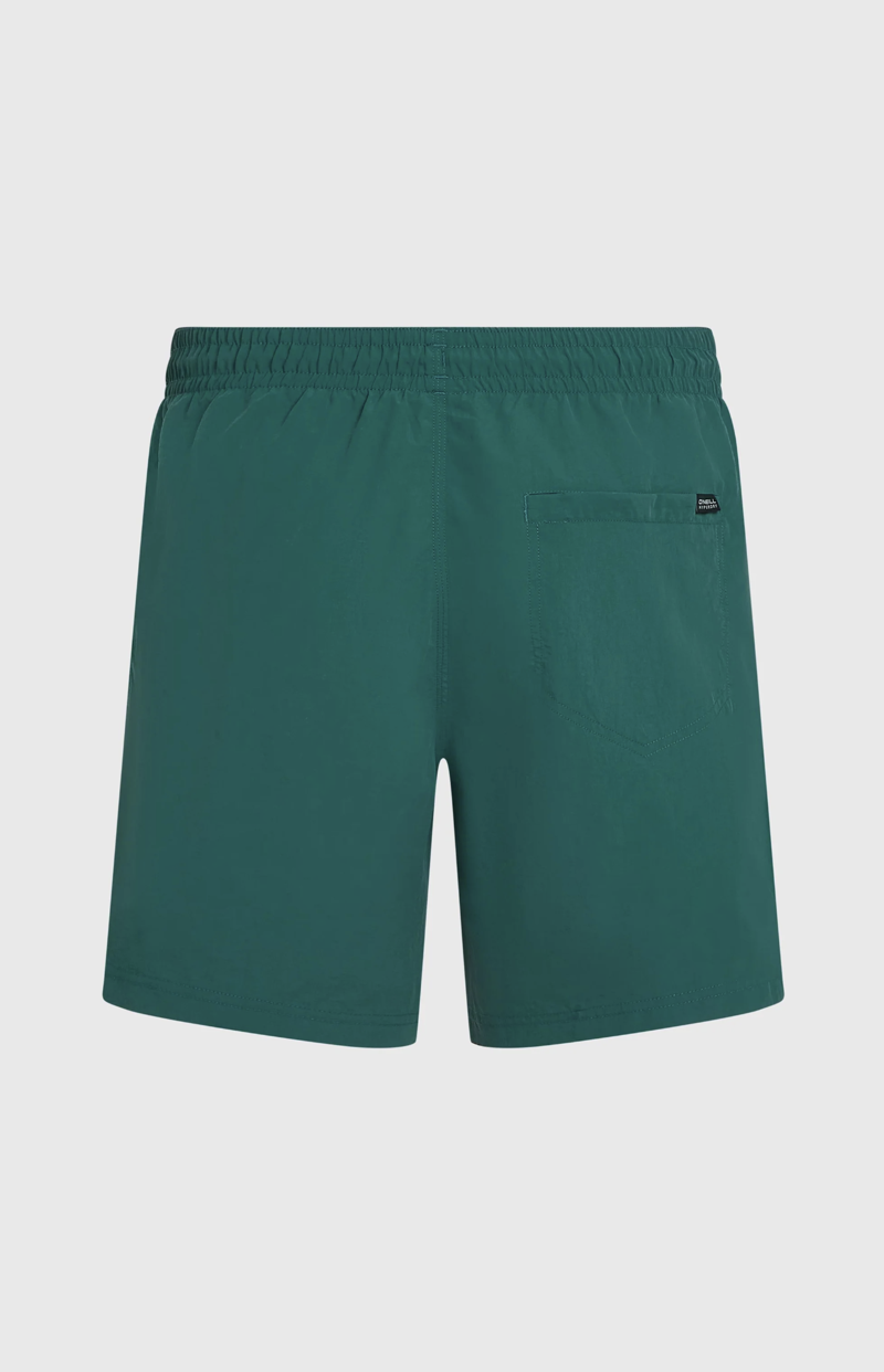 O'Neill Men's Vert 16 Swimshorts - Botanical Heat-1