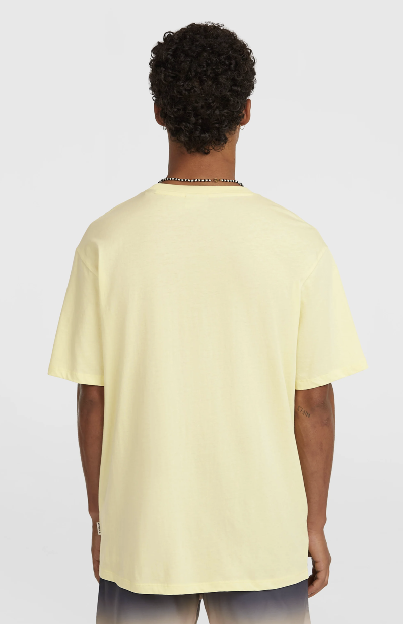 O'Neill Men's Muir T-Shirt - Rainforest Dew-3