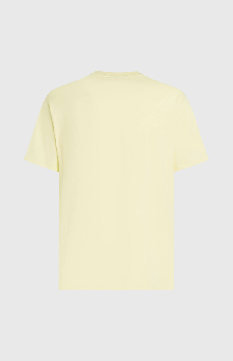 O'Neill Men's Muir T-Shirt - Rainforest Dew-1