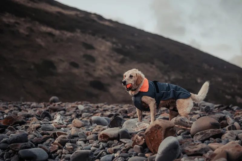 Dryrobe Dog Coat - Dark Grey/Orange-4