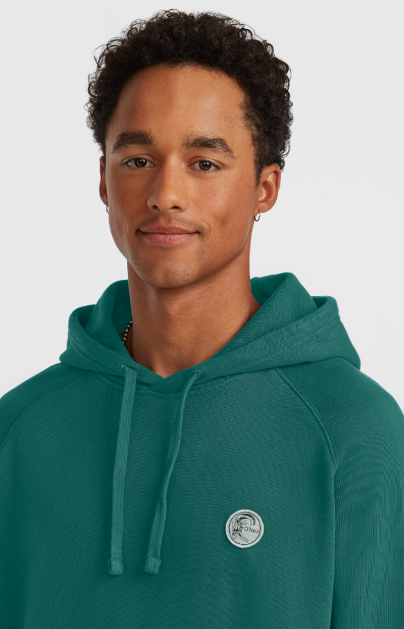 O'Neill Men's O'Riginals Badge Hoodie - Botanical Heat-4