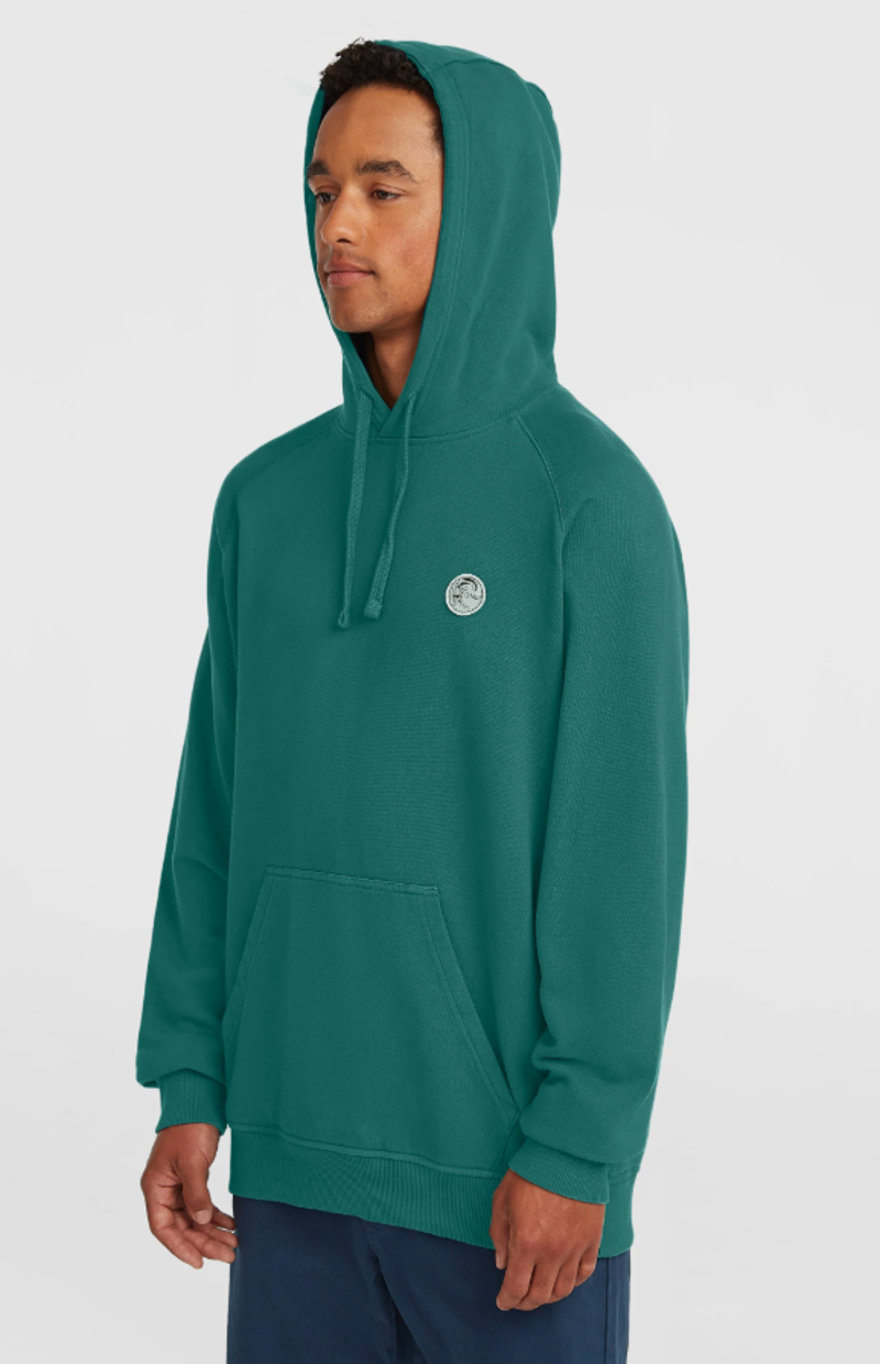 O'Neill Men's O'Riginals Badge Hoodie - Botanical Heat-5