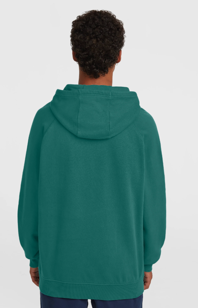 O'Neill Men's O'Riginals Badge Hoodie - Botanical Heat-3
