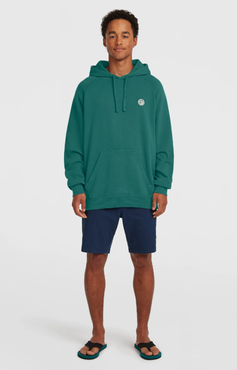 O'Neill Men's O'Riginals Badge Hoodie - Botanical Heat-6